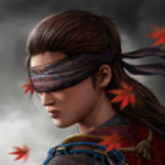 暗影猎手传奇动作格斗新游v1.0.65 无限钻石版