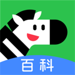 斑马百科3D学习应用v1.31.0 